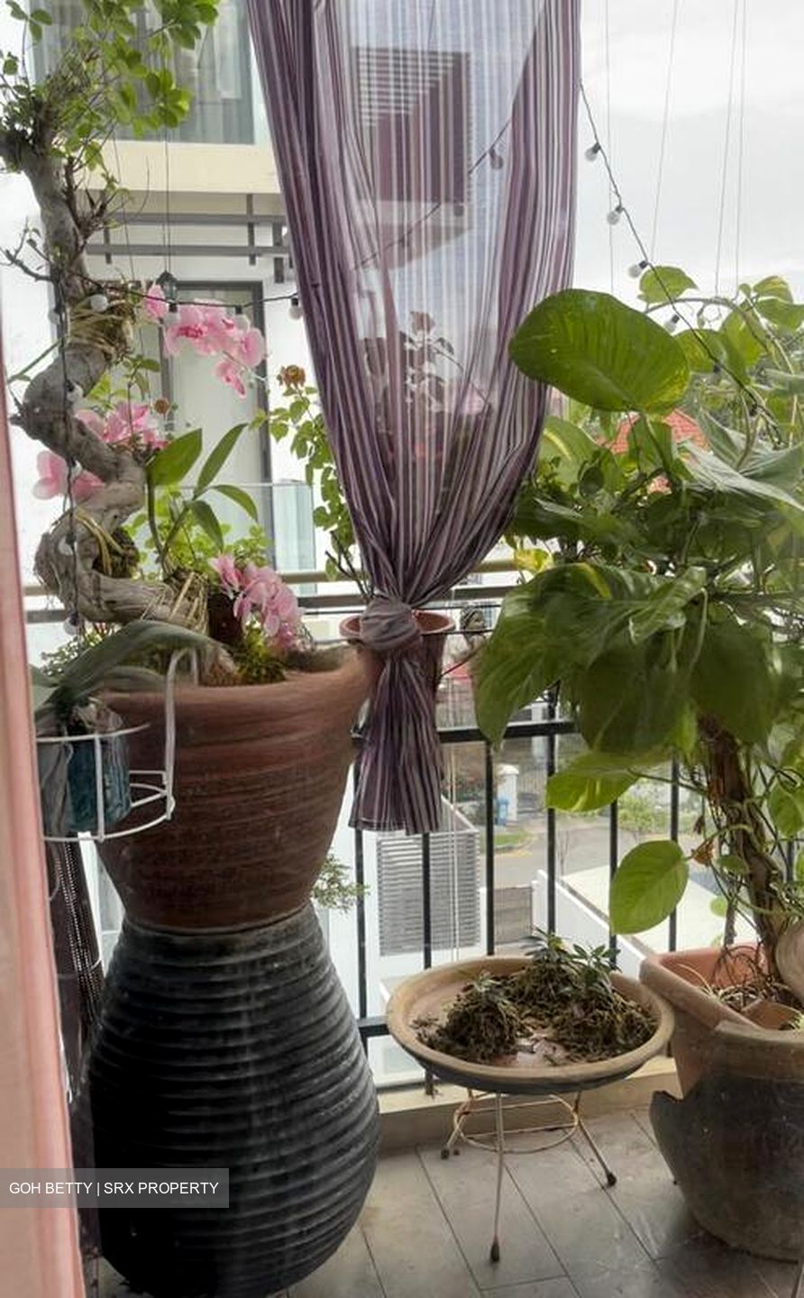 The Urbanite (D8), Apartment #454892961